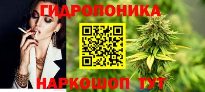 стаф Нарткала