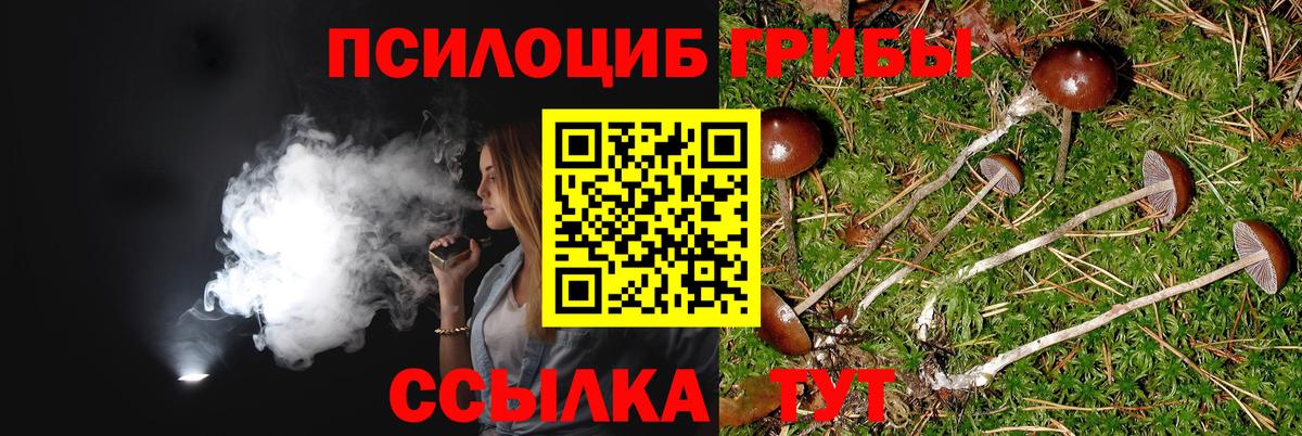 Псилоцибиновые грибы MAGIC MUSHROOMS  Вход с VPN  Сызрань 