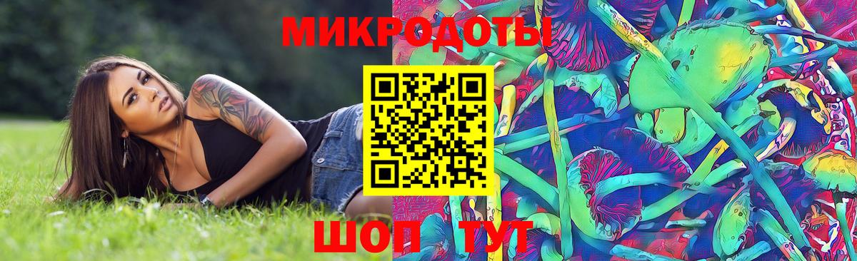 Псилоцибиновые грибы прущие грибы Сызрань