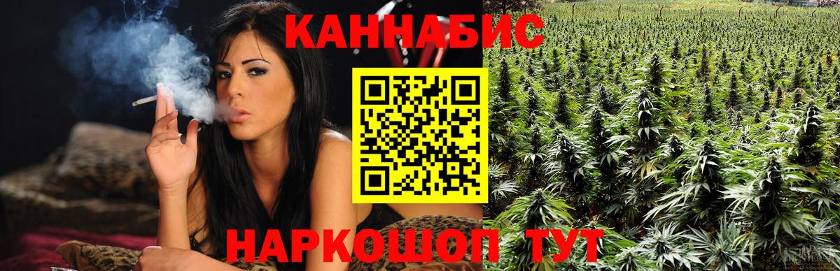 Бошки Шишки Bruce Banner  Вход с VPN  Бошки Шишки сатива  Конопля марихуана  Сызрань 